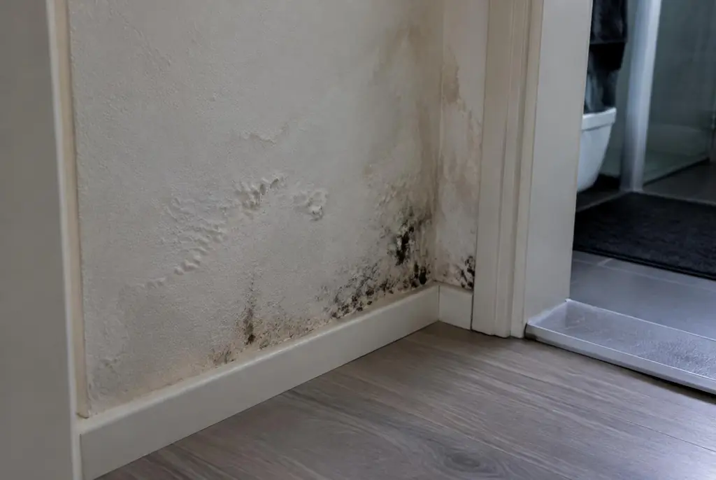 Lekdetectie Barneveld – vochtplek met schimmel op een muur